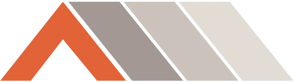 regis-bourasseau-logo-3